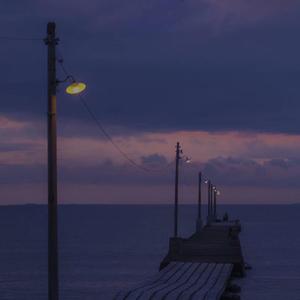 骚逼想被狠狠操
