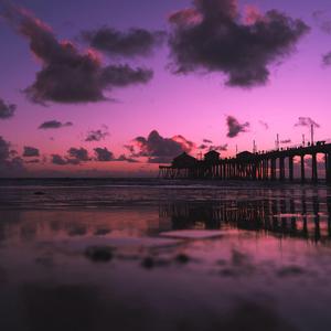 骚逼想被狠狠操
